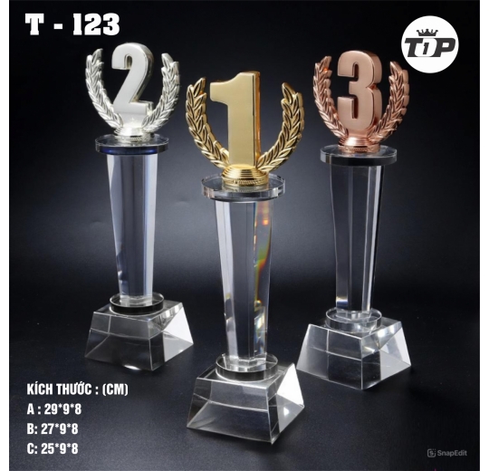 Tinh Thần Chiến Thắng – Spirit of Victory Award - 123