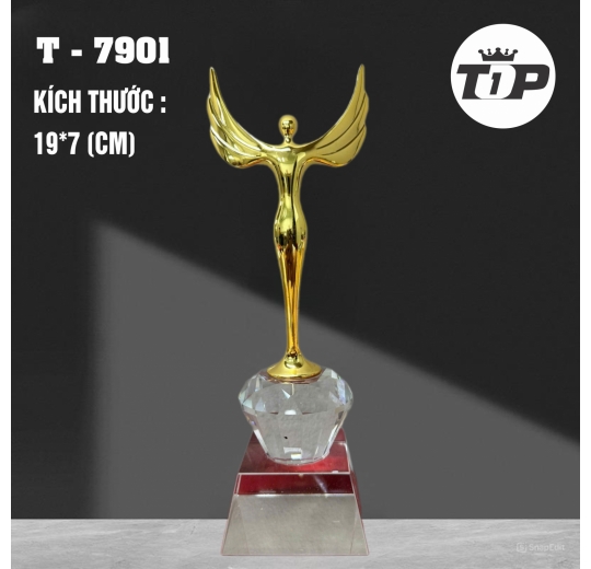 Vinh Quang Bay Cao – Wings of Glory Award - 7901