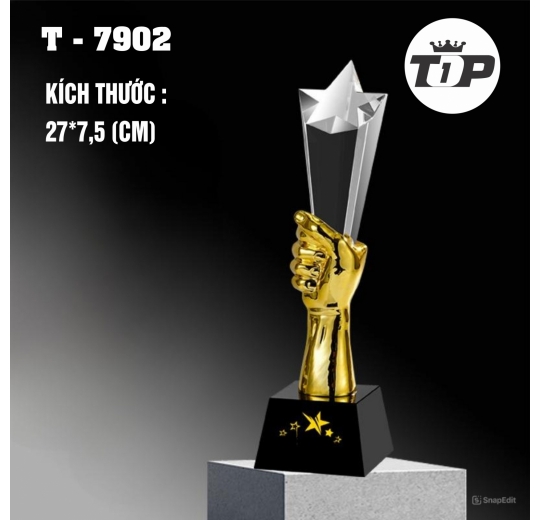 Bàn Tay Ngôi Sao – Star in Hand Trophy - 7902