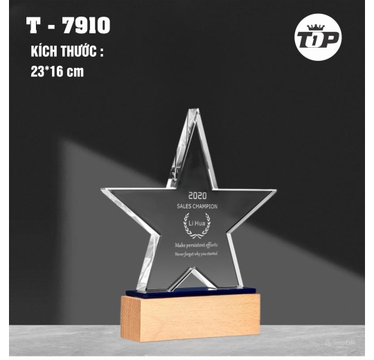 Ngôi Sao Thành Công – Success Star Trophy - 7910