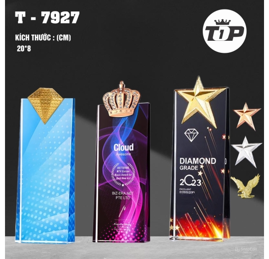 Đỉnh Vinh Danh – Pinnacle of Honor Award - 7927