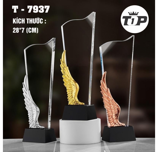 Khát Vọng Bay Cao – Aspiration Trophy - 7937