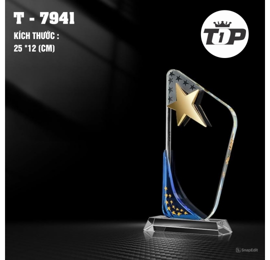 Tinh Hoa Dẫn Lối – Guiding Star Trophy - 7941