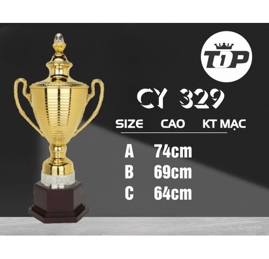 Cúp Thể Thao CY 329