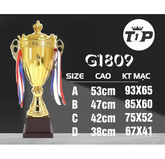 Cúp Thể Thao G1809