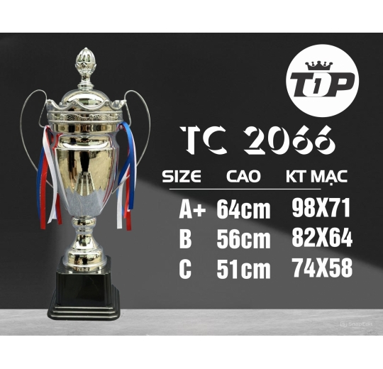 Cúp Thể Thao TC 2066S