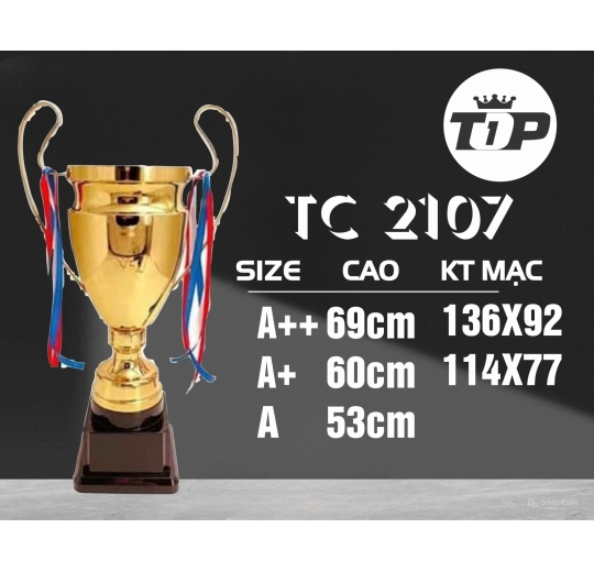 Cúp Thể Thao TC 2107