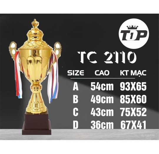 Cúp Thể Thao TC 2110