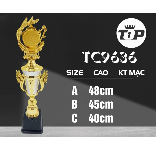 Cúp Thể Thao  TC9636